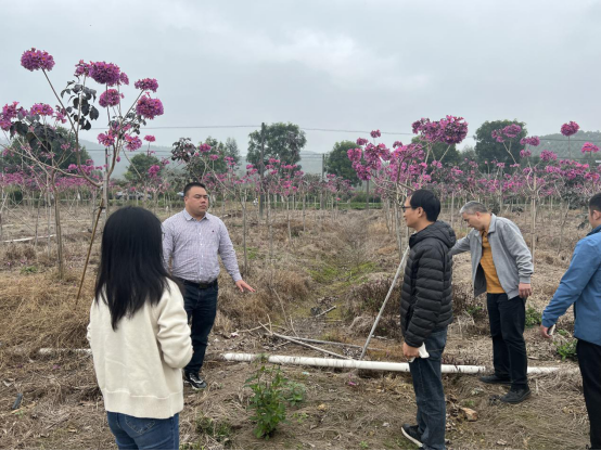 簡報2023-19期 沙湖鎮(zhèn)：黨建引領備春耕 不誤農(nóng)時不負春508.png