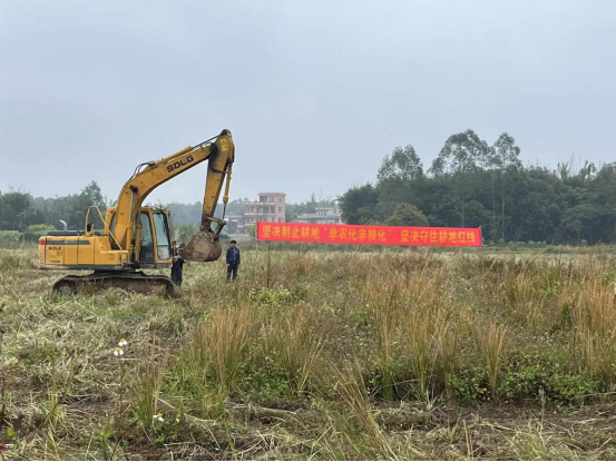 簡報2023-19期 沙湖鎮(zhèn)：黨建引領備春耕 不誤農(nóng)時不負春530.png