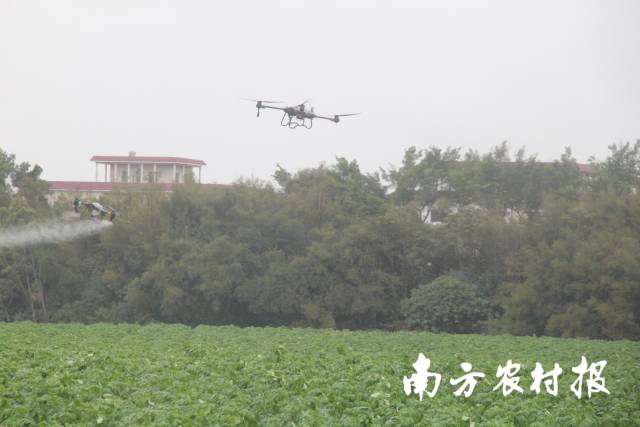 無人機演示現(xiàn)場。