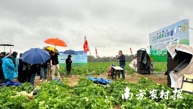 培訓現(xiàn)場，一臺直播設(shè)備將培訓過程傳送至網(wǎng)絡(luò)，不少種植戶紛紛在線上留言互動。