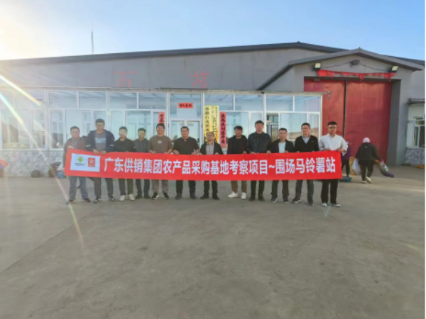 恩平社村聯(lián)北方馬鈴薯產(chǎn)業(yè)調(diào)研取得豐碩成果